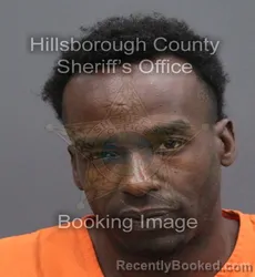 Mugshot of MARK SHELDON BROWN booked in Hillsborough County, Florida on August 3, 2026
