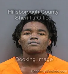Mugshot of LEVITICUS POWELL booked in Hillsborough County, Florida on August 3, 2026