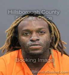 Mugshot of ANTHONY T JR MOULTRIE booked in Hillsborough County, Florida on August 3, 2026