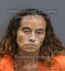 Mugshot of KATRINA ELENORA MAESTAS booked in Hillsborough County, Florida on August 4, 2026