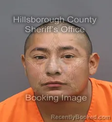 Mugshot of ALEXANDER RENDON-HERMENEGILDO booked in Hillsborough County, Florida on August 4, 2026