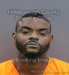 Mugshot of FABIAN GEORGE HOPSON booked in Hillsborough County, Florida on August 4, 2026