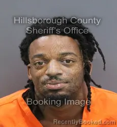 Mugshot of JERMAL RICHARD JACOB booked in Hillsborough County, Florida on August 4, 2026
