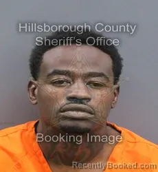 Mugshot of JA'QUA DEEVERNERE SHAMA BURNEY booked in Hillsborough County, Florida on August 4, 2026