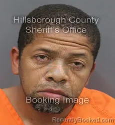 Mugshot of MARIO LEROY JOHNSON booked in Hillsborough County, Florida on August 4, 2026
