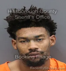 Mugshot of ZACHARY MAXWELL ELLISON booked in Hillsborough County, Florida on August 4, 2026