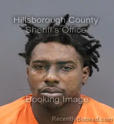 Mugshot of DONTRE LEMONTE MOSLEY booked in Hillsborough County, Florida on August 4, 2026