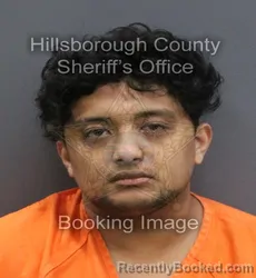 Mugshot of ALEX BIJU CHACKO booked in Hillsborough County, Florida on August 4, 2026