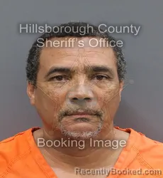 Mugshot of BRIAN KELLY DAVIS booked in Hillsborough County, Florida on August 4, 2026