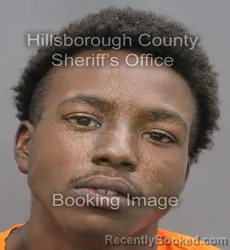 Mugshot of JASIER XAVIOR GRACE booked in Hillsborough County, Florida on August 4, 2026
