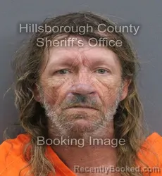 Mugshot of JOHN D COLLINS booked in Hillsborough County, Florida on August 4, 2026