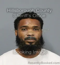 Mugshot of ANDREW MICHAEL GUNN booked in Hillsborough County, Florida on August 4, 2026