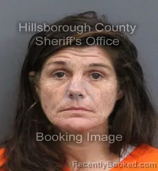 Mugshot of CHRISTIE LEE WINKELSAS booked in Hillsborough County, Florida on August 4, 2026