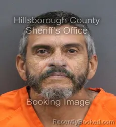 Mugshot of ALBERT JAVIER SANTANA LUGO booked in Hillsborough County, Florida on August 4, 2026