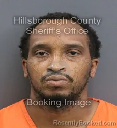 Mugshot of JEAN EDZAR SANVIL booked in Hillsborough County, Florida on August 4, 2026