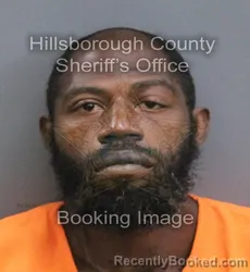 Mugshot of RYAN SANTIAGO FLEMING booked in Hillsborough County, Florida on August 4, 2026