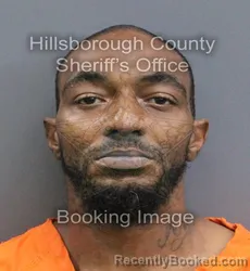 Mugshot of ANTHONY DEWAYNE WILLIAMS booked in Hillsborough County, Florida on August 4, 2026