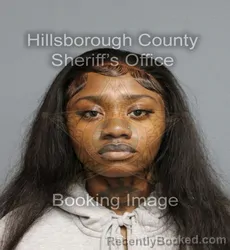 Mugshot of SHIANTI AMARIE GREEN booked in Hillsborough County, Florida on August 4, 2026