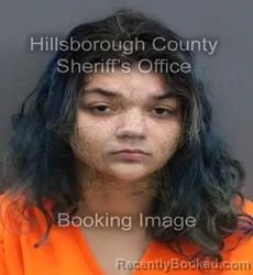 Mugshot of BRIANNA HOPE HAYNES booked in Hillsborough County, Florida on August 4, 2026