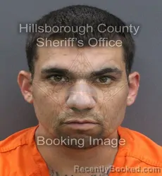 Mugshot of ABRAHAM RAMOS booked in Hillsborough County, Florida on August 4, 2026