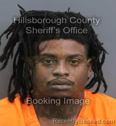 Mugshot of PEDRO JAVIER ALLEN booked in Hillsborough County, Florida on August 4, 2026