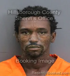 Mugshot of JOSHUA JERMAINE JELKS booked in Hillsborough County, Florida on August 4, 2026