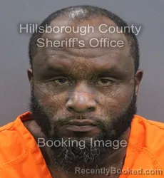Mugshot of MARTAVIA ROSHOD HAGGINS booked in Hillsborough County, Florida on August 4, 2026