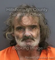 Mugshot of DALE F JR JAMES booked in Hillsborough County, Florida on August 4, 2026