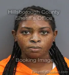 Mugshot of TERYANA ANNETTE ROYAL booked in Hillsborough County, Florida on August 4, 2026