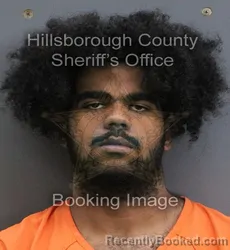 Mugshot of YERACHNIEL SANTOS booked in Hillsborough County, Florida on August 4, 2026