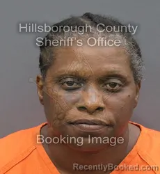 Mugshot of VERONICA MICHELLE WILSON booked in Hillsborough County, Florida on August 4, 2026