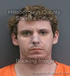 Mugshot of JACOB ORION ANDERSON booked in Hillsborough County, Florida on August 4, 2026