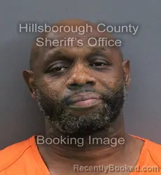 Mugshot of GERMAINE SOLOMAN SINGLETON booked in Hillsborough County, Florida on August 4, 2026