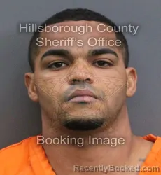 Mugshot of JOSE MARRERO booked in Hillsborough County, Florida on August 4, 2026