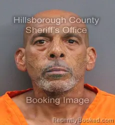 Mugshot of DAMIEN BUCHWALD booked in Hillsborough County, Florida on August 4, 2026