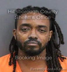 Mugshot of SEAN VACIANNA VACIANNA-MENDES booked in Hillsborough County, Florida on August 4, 2026