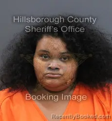 Mugshot of YAMILET ENY TORRES-CHICO booked in Hillsborough County, Florida on August 4, 2026