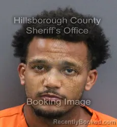 Mugshot of SHELDON LAMAR WALKER booked in Hillsborough County, Florida on August 4, 2026