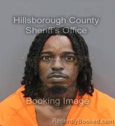 Mugshot of MARTERRENCE QUAT JR HOLLOWAY booked in Hillsborough County, Florida on August 4, 2026