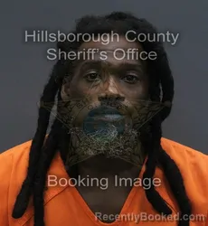 Mugshot of WALTER LAVERNE JR BOYD booked in Hillsborough County, Florida on August 5, 2026