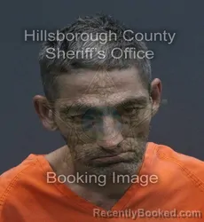 Mugshot of JOHNNY ENRIQUE JR MEDINA booked in Hillsborough County, Florida on August 5, 2026