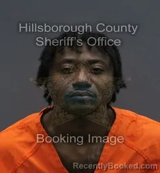 Mugshot of LARRY CHARVEL BROWN booked in Hillsborough County, Florida on August 5, 2026