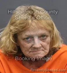 Mugshot of VANASSE KAY MORSE booked in Hillsborough County, Florida on August 5, 2026