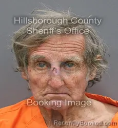 Mugshot of DOUGLAS ALLEN HATLEY booked in Hillsborough County, Florida on August 5, 2026