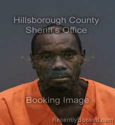 Mugshot of BOBBY ERIC WINGATE booked in Hillsborough County, Florida on August 5, 2026