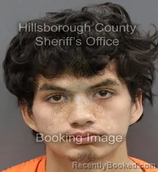 Mugshot of ETHAN WALDEMAR FRYRE