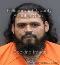 Mugshot of GABRIEL LANDEROS