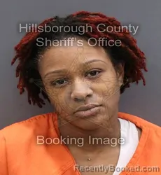 Mugshot of CHRISTINA MICHELLE SANCHEZ WASHINGTON