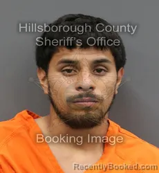 Mugshot of ALBERTO AGUIRRE