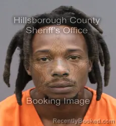 Mugshot of ELIGHJAH JOSHUAH CONTI